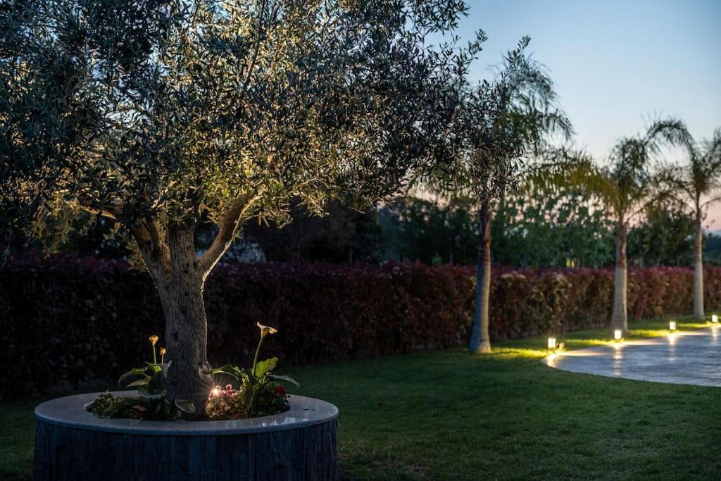 "Aeolos" Luxury Villa Preveza Exteriér fotografie